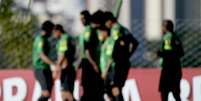 <p>Sele&ccedil;&atilde;o iniciou treinos com a Cafusa na ter&ccedil;a-feira</p>  Foto: Ricardo Matsukawa / Terra