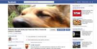<p>Evento no Facebook quer ver de volta frases de escritores e fotos de pets</p>  Foto: Reprodução