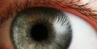 De acordo com especialistas, parte mais dif&iacute;cil do projeto &eacute; fazer com que lentes permitam oxigena&ccedil;&atilde;o do olho  Foto: Petr Nov&aacute;k / Wikip&eacute;dia