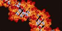 Vírus geneticamente modificados foram usados para corrigir mutações prejudiciais no DNA  Foto: SPL / Divulgação