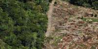 <p>O desmatamento é um dos pontos que preocupam os defensores da Amazônia</p>  Foto: Getty Images 
