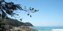 <p>Com suas belezas naturais e estrutura tur&iacute;stica, vila pertencente a Paraty atrai&nbsp;os mais diferentes p&uacute;blicos</p>  Foto: Roberto Orlandi Pereira / vc repórter