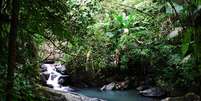 <p>O Parque Nacional  El Yunque possui vegetação tropical</p>  Foto: Erik Larson / Flickr