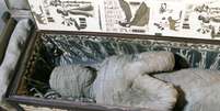 Autoridades da Alemanha tentam descobrir origem de múmia encontrada em sótão  Foto: Lutz Wolfgang Kettler / AFP