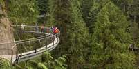 <p>Com 230 metros, a passarela Cliffwalk fica no Canadá</p>  Foto: Capilano Suspension Bridge Park