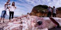 Pessoas observam corpo do animal encontrada em praia na Espanha. A imagem, feita com uma lente grande-angular, tem os cantos distorcidos na tentativa de capturar uma visão mais aberta do achado  Foto: grindtv.com / Reprodução