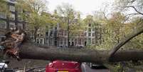 28 de outubro - Árvore que caiu sobre carro e matou mulher junto ao canal Herengracht, em Amsterdã, na Holanda   Foto: Reuters