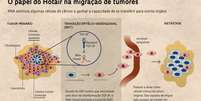 O papel do Hotair na migração de tumoresRNA estimula algumas células do câncer a ganhar a capacidade de se transferir para outros órgãos  Foto: Agência Fapesp / Divulgação