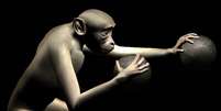 Durante o período de treinamento, os macacos foram encorajados a colocar essas mãos virtuais dentro de alvos específicos que apareciam na tela durante a execução de uma tarefa bimanual  Foto: Nicolelis Laboratory, Center for Neuroengineering, Duke University / Divulgação
