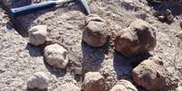 Arqueólogos encontram banheiro pré-histórico gigante na Argentina  Foto: Lucas Fiorelli / BBC Mundo