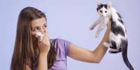 <p>Ao contrário do que se diz, não são os pelos os responsáveis pelas alergias e sim uma proteína presente no corpo (saliva e pele) dos gatos</p>  Foto: Getty Images 