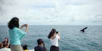 Abrolhos, na Bahia, reúne turistas que querem ver de perto as baleias  Foto: Turismo Bahia