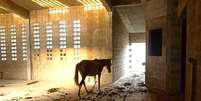 Cavalo é encontrado dentro de presídio inacabado no Maranhão  Foto: Fotos João Fellet / BBC News Brasil