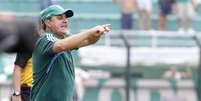 <p>Palmeiras de Kleina segue invicto no Campeonato Paulista</p>  Foto: Reginaldo Castro / Gazeta Press