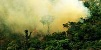 <p>A área afetada na Amazônia caiu de 1.427,99 km² para 1.162,50 km²</p>  Foto: Eco Desenvolvimento