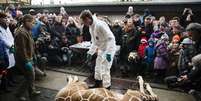 <p>O zoológico de Copenhagen disse que não poderia deixar a girafa crescer para evitar a consanguinidade entre exemplares desta espécie</p>  Foto: AFP