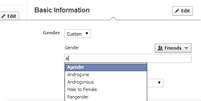 Campo customizável de gênero do Facebook tem 50 opções de termos  Foto: Reprodução