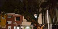 Forte chuva e rajadas de vento provocaram queda de &aacute;rvore na rua Morgado Mateus, regi&atilde;o da Vila Mariana, em S&atilde;o Paulo  Foto: Edu Silva / Futura Press