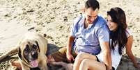 Comum durante a estação mais quente do ano, ida dos cachorros à praia pode comprometer a saúde dos próprios pets e também dos banhistas   Foto: Shutterstock 