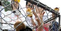 <p>Mulher protesta contra hábito alimentar dos coreanos de comer carne de cachorro</p>  Foto: AFP