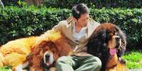 Um filhote de um cachorro da raça mastiff tibetano poder ter se tornado o cão com maior valor em uma venda   Foto: AFP