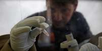 <p>Cientista separa as células do sangue para isolar o vírus Ebola para um teste no laboratório móvel europeu em Gueckedou, Guiné, em 3 de abril</p>  Foto: Reuters