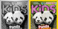 Réplica de capa da National Geographic Kids (à esquerda) é impossível de ver a olho nu   Foto: Reprodução/IBM Research