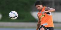 <p>Renato deve acertar com o Santos até dezembro deste ano</p>  Foto: Vitor Silva/SS Press/Botafogo / Divulgação