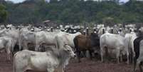 <p>Peru é um importador de volumes insignificantes de carne bovina brasileira</p>  Foto: Reuters