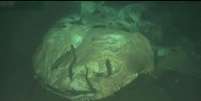 Carcaça de tubarão-baleia foi uma das encontradas em área pequena no fundo do mar  Foto: BBC News Brasil
