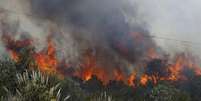 Bombeiros observam de perto as chamas, enquanto se preparam para proteger uma casa, em San Marcos, na região de San Diego, na Califórnia, Estados Unidos, nesta quinta-feira. 15/05/2014  Foto: Mike Blake / Reuters