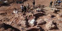Os paleontólogos acharam cerca de 150 ossos no total  Foto: BBC News Brasil