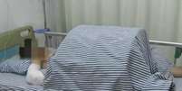 <p>Na única imagem do jovem, divulgada pela imprensa, Xiao Pan aparece em um quarto de hospital, com uma proteção sobre a região íntima, após cirurgia</p>  Foto: Metro / Reprodução