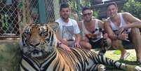 <p>Selfies ao lado de tigres podem ser proibidas em Nova York</p>  Foto: Facebook / Reprodução
