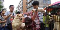 <p>Ativistas compram cães na tentativa de impedir que eles sejam adquiridos por pessoas que planejam abatê-los para o consumo durante o festival de Yulin, em 20 de junho </p>  Foto: Reuters