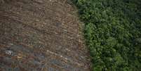 <p>Vista aérea de área desmatada da floresta tropical de Sumatra, em Merang, Indonésia, em 10 de dezembro de 2010</p>  Foto: Ulet Ifansasti / Getty Images 