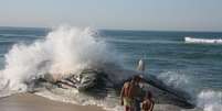 <p>A carcaça da baleia da espécie jubarte encalhada na Praia da Macumba, no Recreio dos Bandeirantes, zona oeste do Rio de Janeiro, foi removida em 11 de agosto</p>  Foto: Jadson Marques  / Futura Press