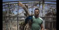 Funcionários do zoológico mostra pavão morto em meio aos ataques israelenses em Gaza  Foto: Al Jazeera / Reprodução