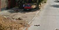 <p>Animal é visto caído na rua depois que o carro da empresa passa</p>  Foto: Reprodução/ Daily Mail