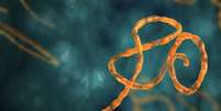 <p>Vírus do ebola já matou milhares de pessoas na África Ocidental este ano</p>  Foto: Reprodução