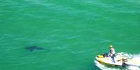 <p>Tubarão branco que atacou Paul foi visto na praia australiana (em imagem)</p>  Foto: Daily Mail / Reprodução