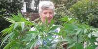 <p>Patricia Hewitson colocou uma foto da planta nas redes sociais</p>  Foto: BBC News Brasil