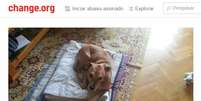 Página da Change.org pede 300 mil assinaturas contra sacrifício do cachorro Excalibur  Foto: Change.org / Reprodução
