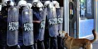 <p>O cachorro se tornou símbolo das greves que atingiram a Grécia durante a crise</p>  Foto: Twitter