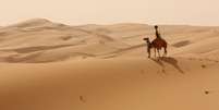 Camelo Google no Deserto e Oásis de Liwa em Abu Dhabi, nos Emirados Árabes Unidos  Foto: Google / Divulgação