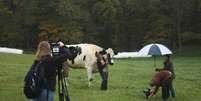 A vaca tem 1,93 metros e é a mais alta do mundo  Foto: Facebook/Blosom / Reprodução