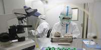 <p>Uma empresa farmacêutica chinesa enviou uma droga experimental para a África nesta quinta-feira e planeja realizar testes </p>  Foto: China Daily / Reuters