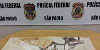 <p>Organização criminosa roubava peças extraídas principalmente do Ceará, que eram enviadas para abastecer museus particulares na Europa, Estados Unidos e Ásia</p>  Foto: Polícia Federal / Divulgação