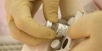 Canadá enviou vacina experimental para a África contra o ebola  Foto: Handout / Reuters