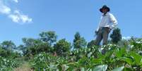 Segundo o presidente da Federação dos Trabalhadores de Agricultura Familiar do estado de São Paulo, a falta de chuvas deve fazer com que frutas e vegetais fiquem mais caros nos próximos meses  Foto: Arquivo FAF/CUT-SP / Divulgação